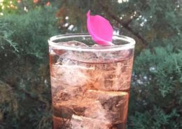 Healthy Cocktails
